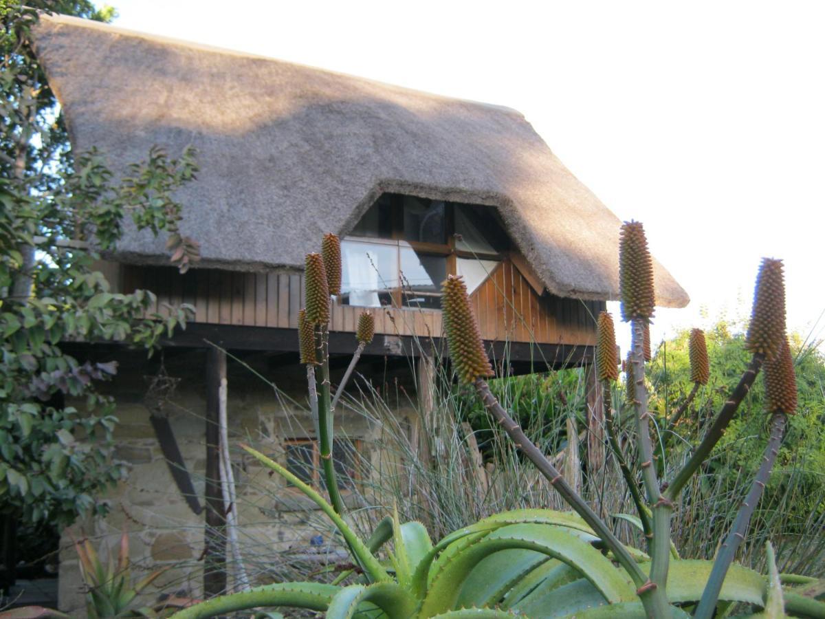 Hotel Driftwood Treehouse Sunrise-on-Sea Exterior foto